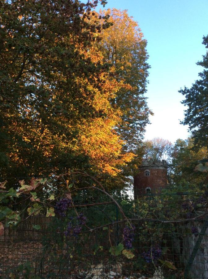Bed and Breakfast L'Orme Des Voyageurs Boutigny Esterno foto